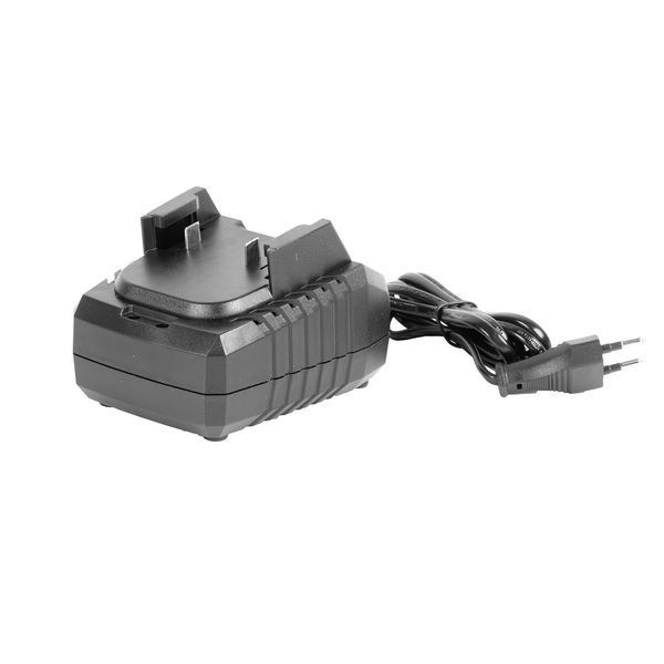 Набор аккумуляторов Procraft Battery20/4 Turbo (2 4Ач, 20 В)  зарядное устройство Procraft Charger20/1 (1 А) Akb4_2_20/1 фото